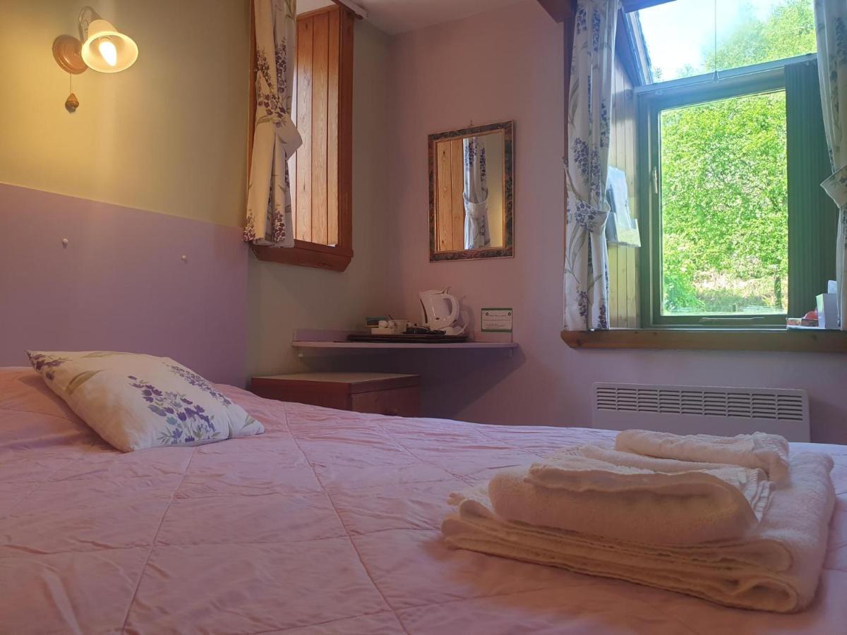 Гостевой дом Bryn Elltyd Eco House Блайнай-Фестиниог Экстерьер фото