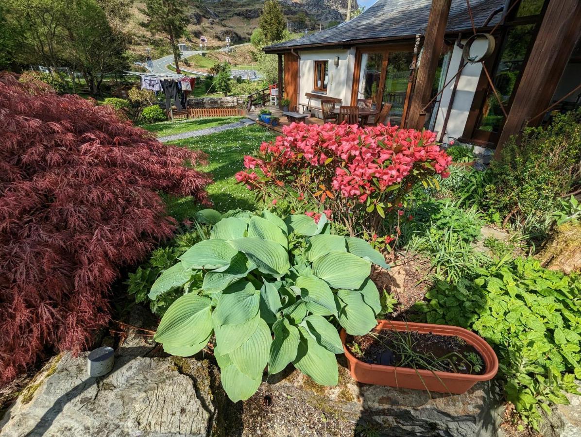 Гостевой дом Bryn Elltyd Eco House Блайнай-Фестиниог Экстерьер фото